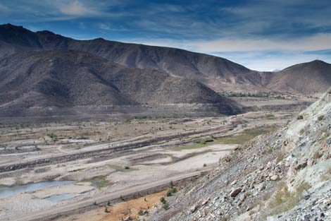 智利釀酒商采取新措施應對干旱