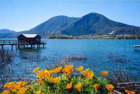 萊克縣（Lake County）葡萄酒產區(qū)