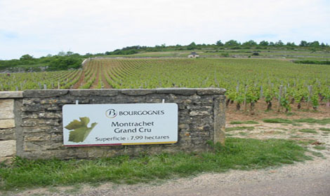 法國勃艮第和香檳被正式列入世界遺產名錄