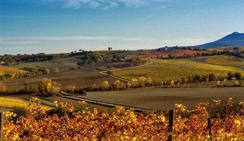 智利釀酒師召開(kāi)土壤與葡萄酒關(guān)系研討會(huì)