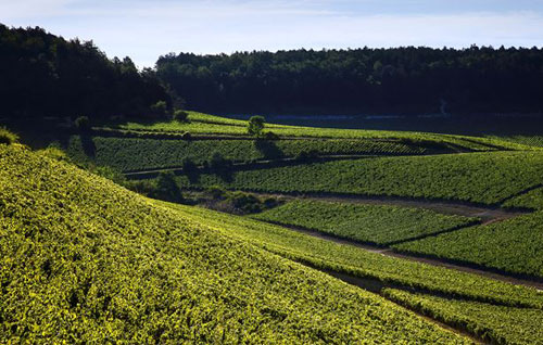 加爾達(dá)產(chǎn)區(qū)（Garda DOC）