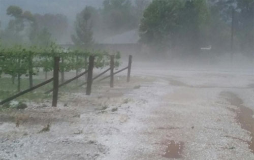 澳洲東南部葡萄酒產區遭遇冰雹襲擊