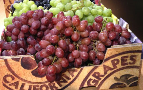 美國加州2016年葡萄產量和價格均上漲