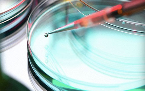 美國研究發(fā)現(xiàn)葡萄酒能預防及對抗結腸癌