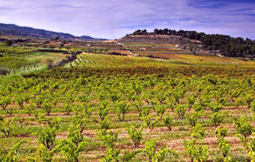 特拉阿爾塔（Terra Alta）