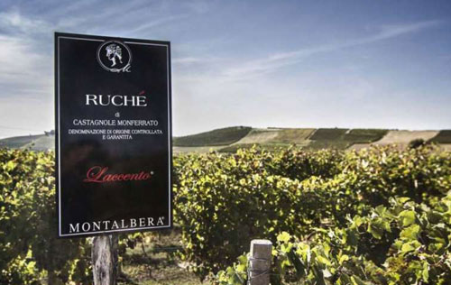 露詩葡萄獲IWSC國際最佳本土葡萄品種獎