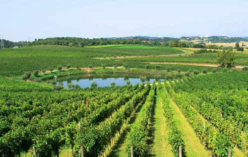 盧蓋納產區（Lugana DOC）