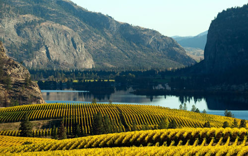 不列顛哥倫比亞產區（British Columbia）