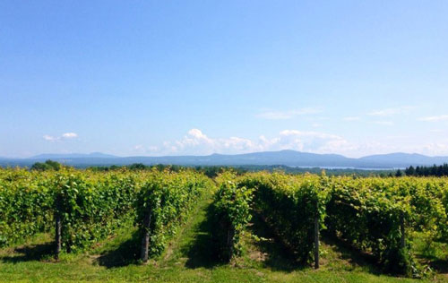 魁北克省葡萄酒產區（Quebec）