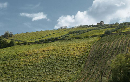 圖魯姆成為意大利第75個(gè)DOCG保證法定產(chǎn)區(qū)