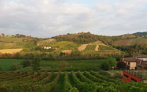 意大利匹諾雷托法定產區確定正式更名