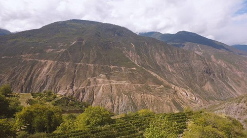 敖云葡萄酒成為首個在波爾多廣場發布的中國名酒