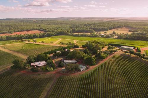 富邑葡萄酒集團收購譽加旗下雅拉谷葡萄園